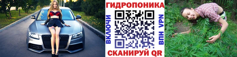 MEGA маркетплейс Северск Канабис индика сколько стоит